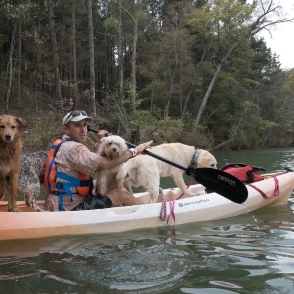David Blank kayaking with dogs