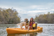 best travel destinations with dogs