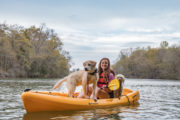 great places to take your dogs on vacation