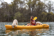 kayaking and SUP adventure with dogs