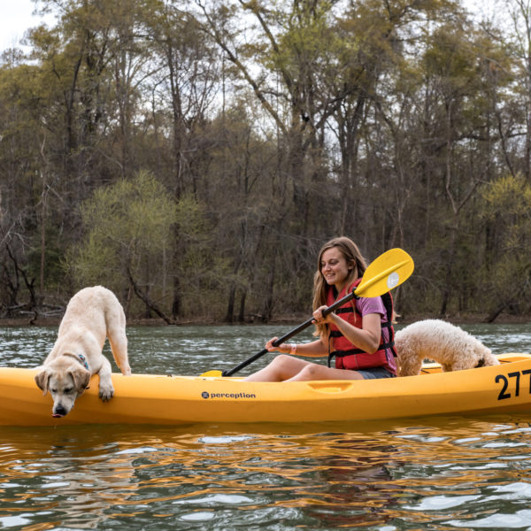 kayaking and SUP adventure with dogs