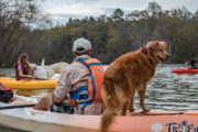 best dog travel kayaking tours