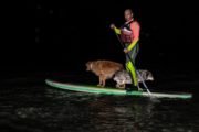 SUP fullmoon tour with your dog