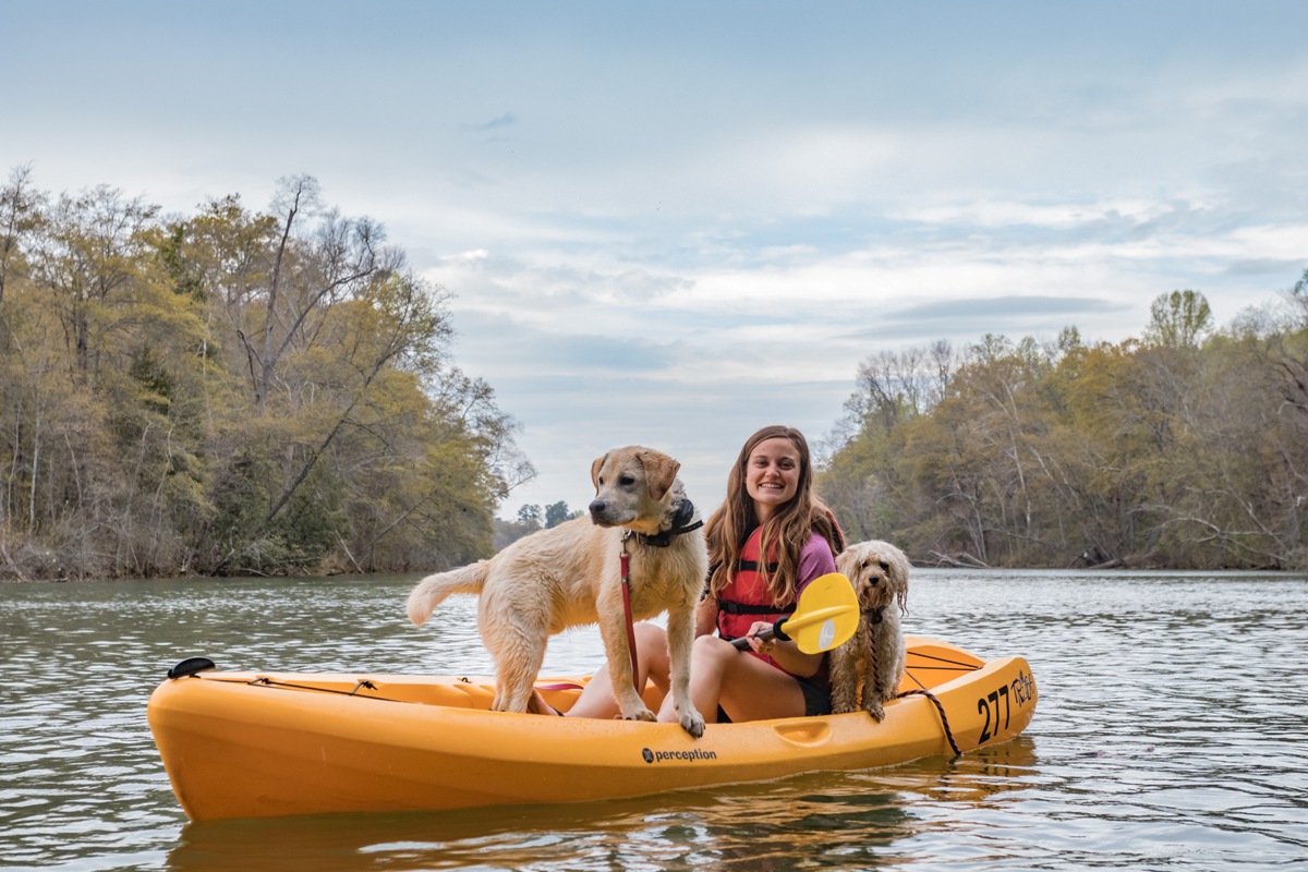 Dogs at the lake kayaking
