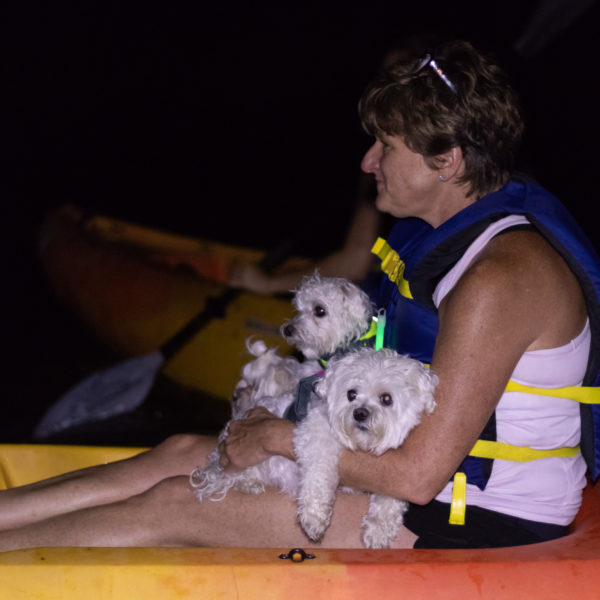 kayaking under the full moon with dogs